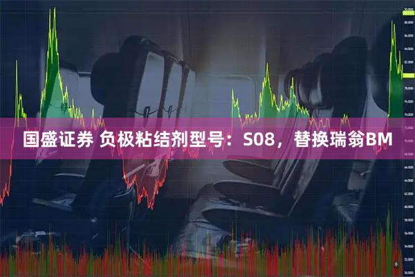 国盛证券 负极粘结剂型号：S08，替换瑞翁BM